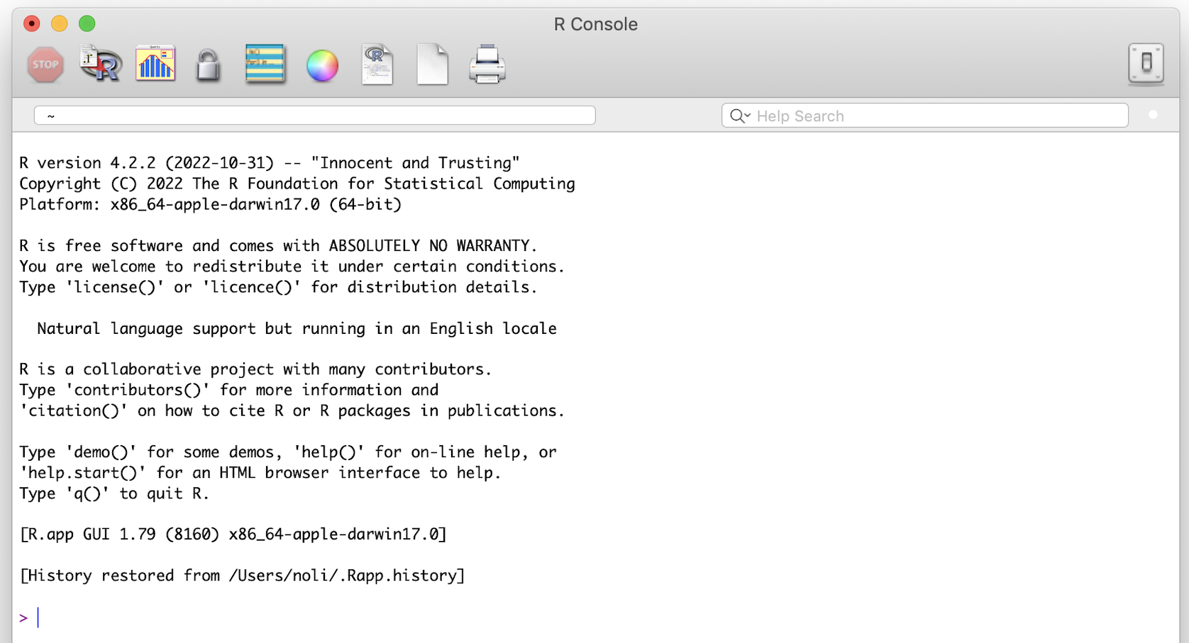 R program interface